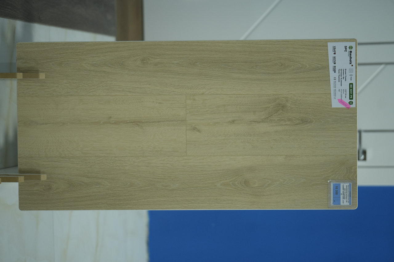 BD 4201 PS (2)